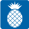 Pineapple-Icon
